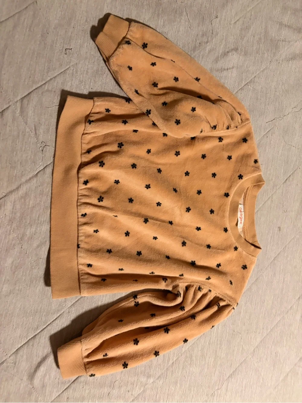 Kids brown/tan Floral Sweatshirt & Jogger Set